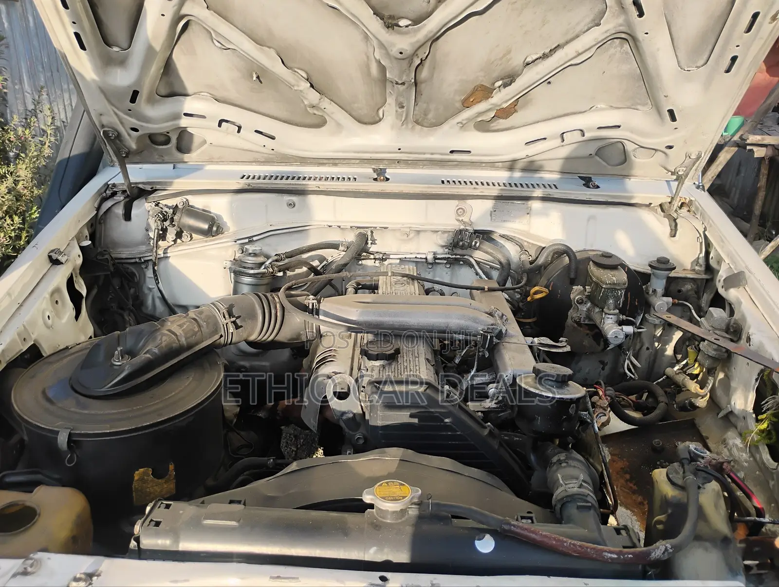 Toyota Land Cruiser 1992 White