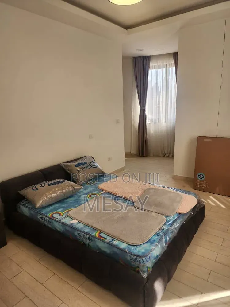 Furnished 3bdrm Apartment in Lideta for rent