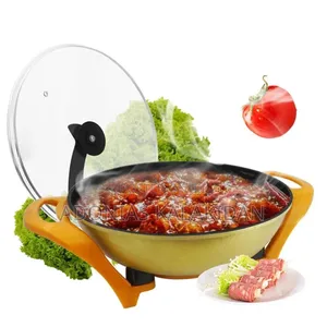 Electric Cooking Pot