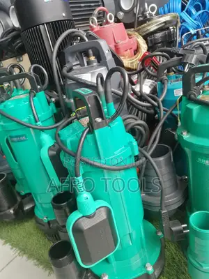 Shimgy 1.5hp Pump