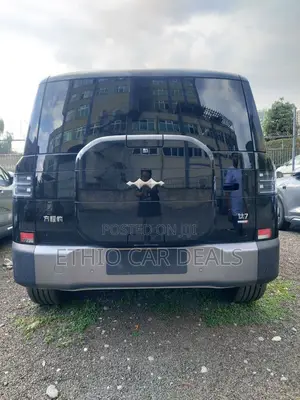 New BYD Leopard 7 2025 Black