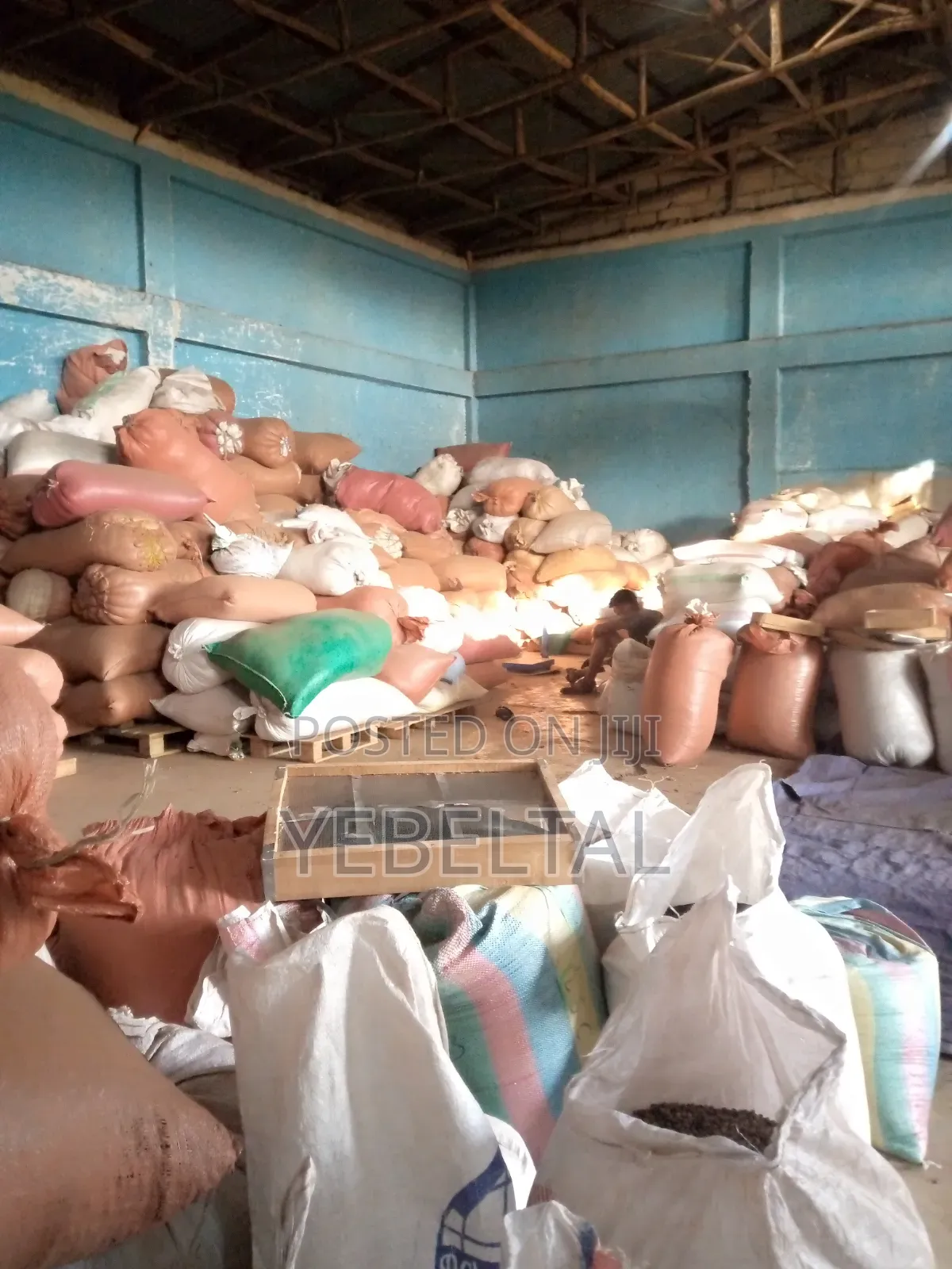 PSG Seed and Seedling Supplier