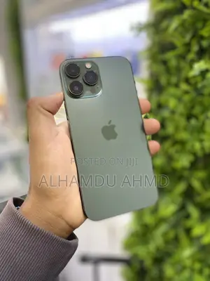 Apple iPhone 13 Pro Max 256 GB