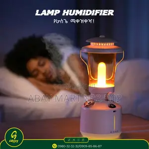 Lamp Humidifier
