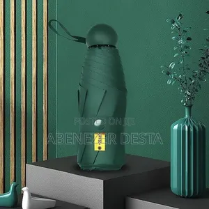 Compact, Capsule-Style Folding Umbrella Designed for Portability.