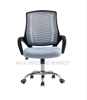 Low Back Office and Staff Chair