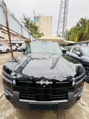 New BYD Leopard 7 2025 Black