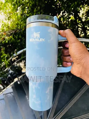 Stanley Mugs With Straw