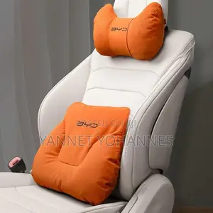 Byd Neck and Back Support Pillow Case 2 Sets