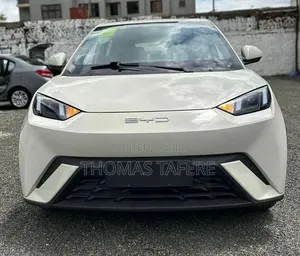 New BYD Seagull 2025 White