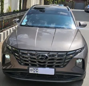 Hyundai Tucson 2022 Brown