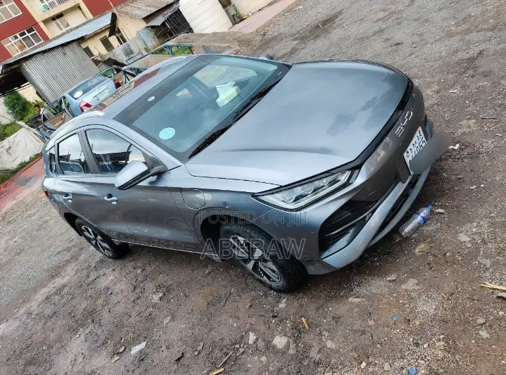 BYD E2 43 kWh 94 hp FWD 2024 Gray