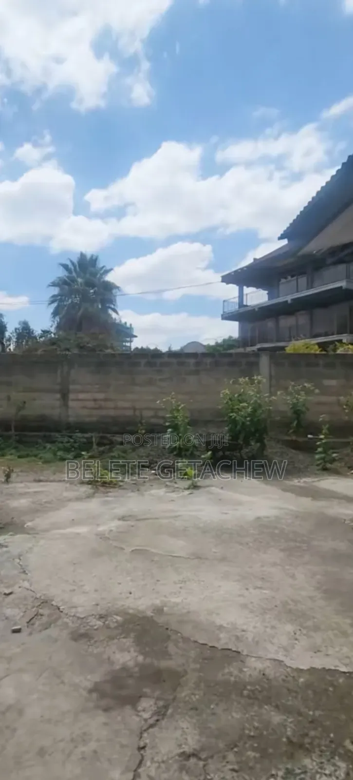 Meskel Flower Lancha, Land for Sale 2250sqm