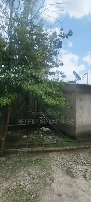 Meskel Flower Lancha, Land for Sale 2250sqm