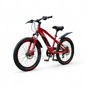 Phillips 20inch