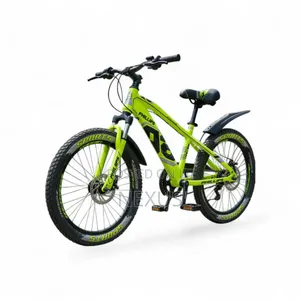 Phillips 20inch