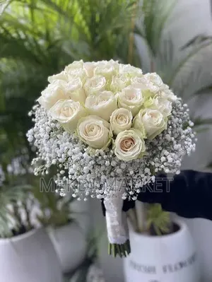 White Rose Flower