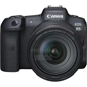 Mirrorless Camera