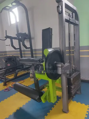 Gym Leg Extension ከፍተኛ Quality – Order Now