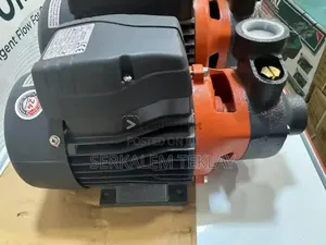 Leo 1hp Surface Water Pump