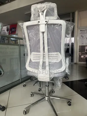 Gym Chairs