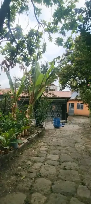 Bole, Old Villa House for Sale 1040sqm