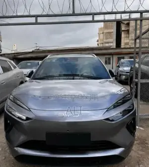 New BYD Sealion 06 EV 2025 Gray