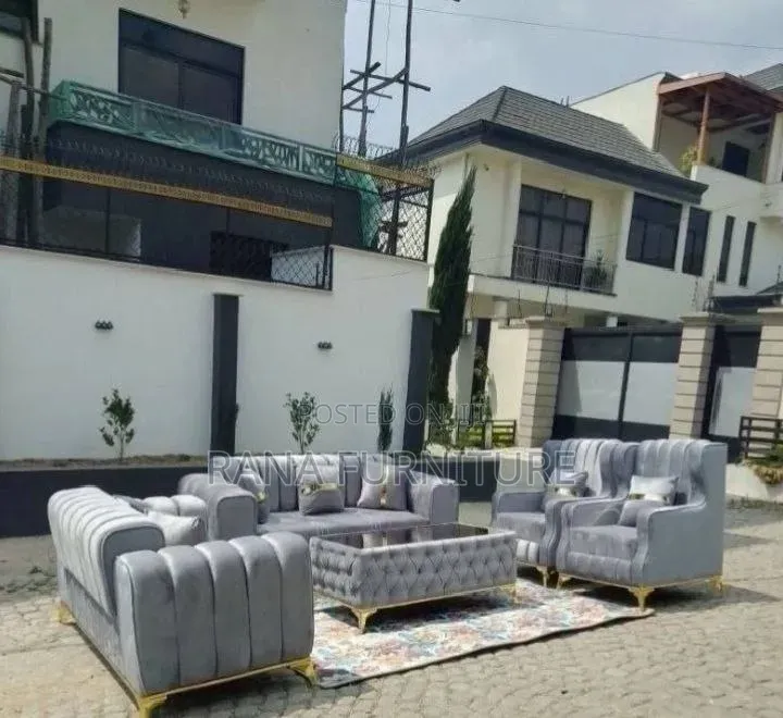 Luxury Modern Sofa _ Fresh Durable