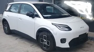 New GAC AION Y 2025 White