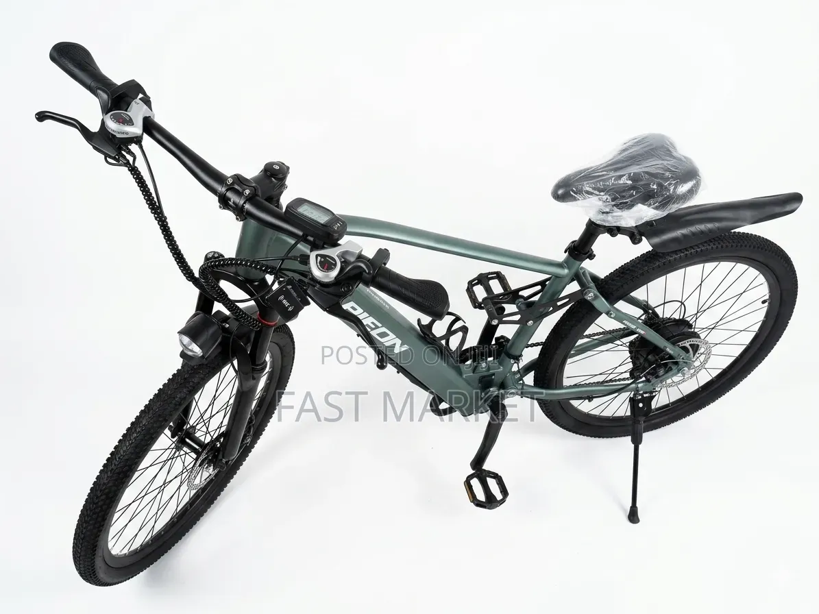 Pigeon Ebike New