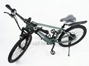 Pigeon Ebike New