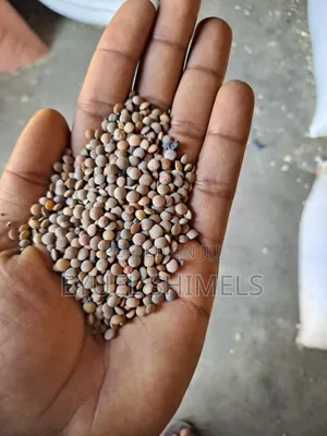 Misir Ehiopian