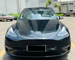 Tesla Model Y 2024 Matt Black