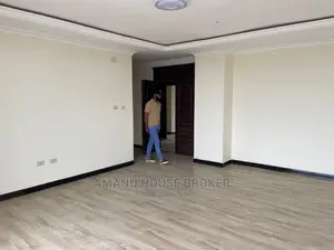2bdrm Apartment in አአ, Lideta for rent