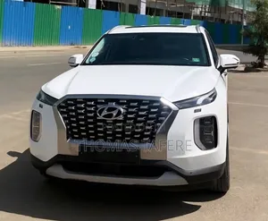 Hyundai Palisade 2023 White