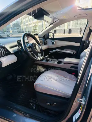 BYD Yuan Plus 2025 Gray