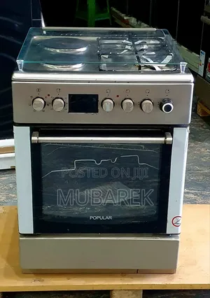 Popular Standing Oven