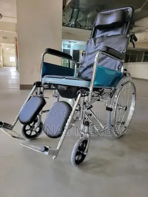 Home/Rehabilitation Wheelchair/Elco Recliner Steel (Chrome) Wheelchair