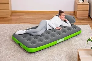 Bestway Roll Relax Air Mattress
