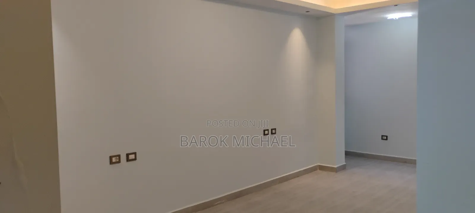 2bdrm Apartment in Tizeta, Bole for rent
