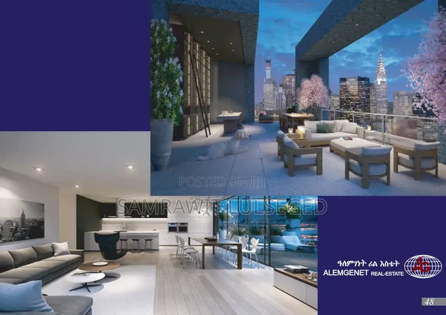 Furnished 1bdrm Apartment in Alemgenet Realstate, Kirkos for sale