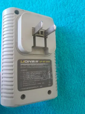Standard Charger