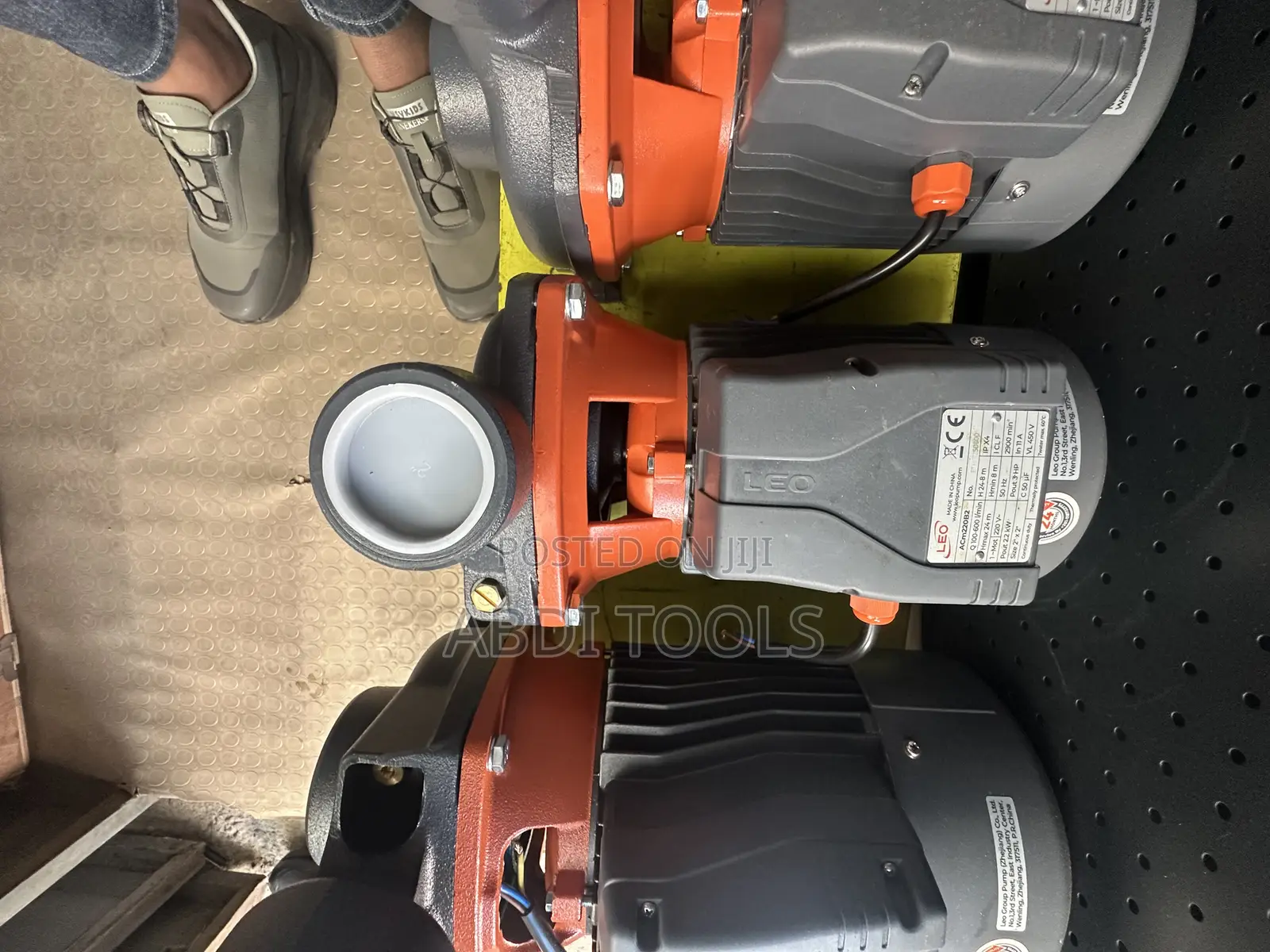 Leo Water Pump