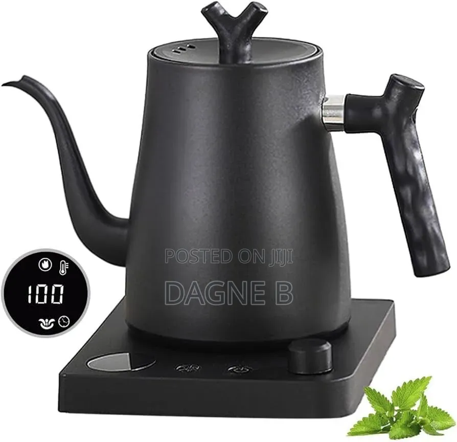 Electric Gooseneck Coffee Kettle የኤሌክትሪክ የቡና ማንቆርቆሪያ እና ማቅረቢያ