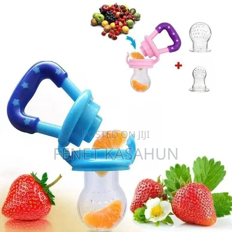 Baby Fruit Feeder