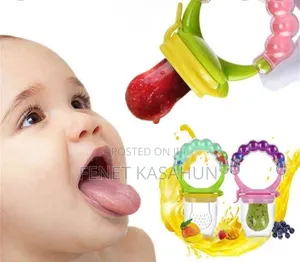 Baby Fruit Feeder