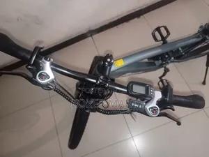 Flying Pigeon Ebike