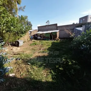 Furnished 1bdrm House in ኮቶቤ, Yeka for sale