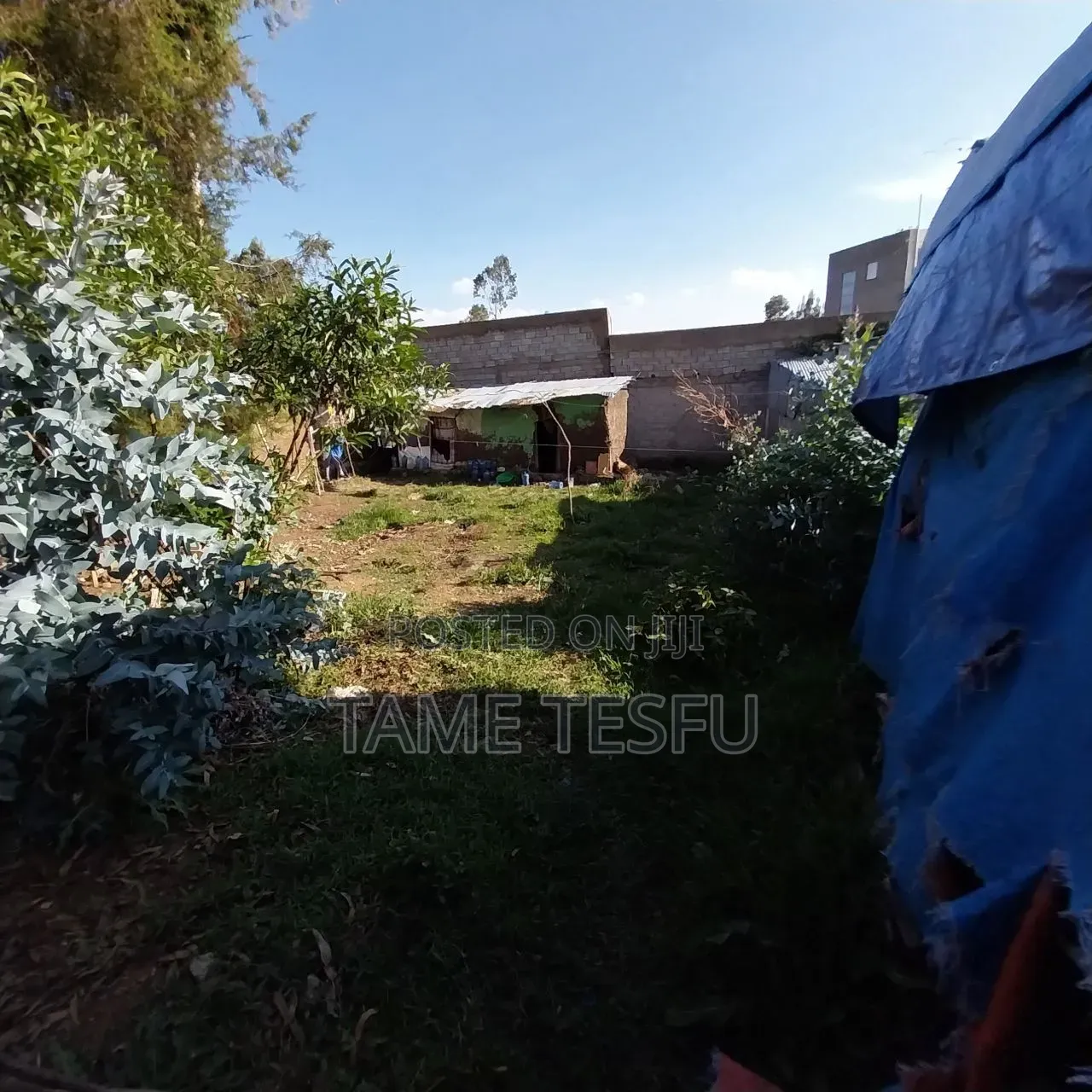 Furnished 1bdrm House in ኮቶቤ, Yeka for sale