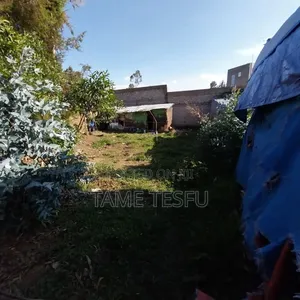 Furnished 1bdrm House in ኮቶቤ, Yeka for sale
